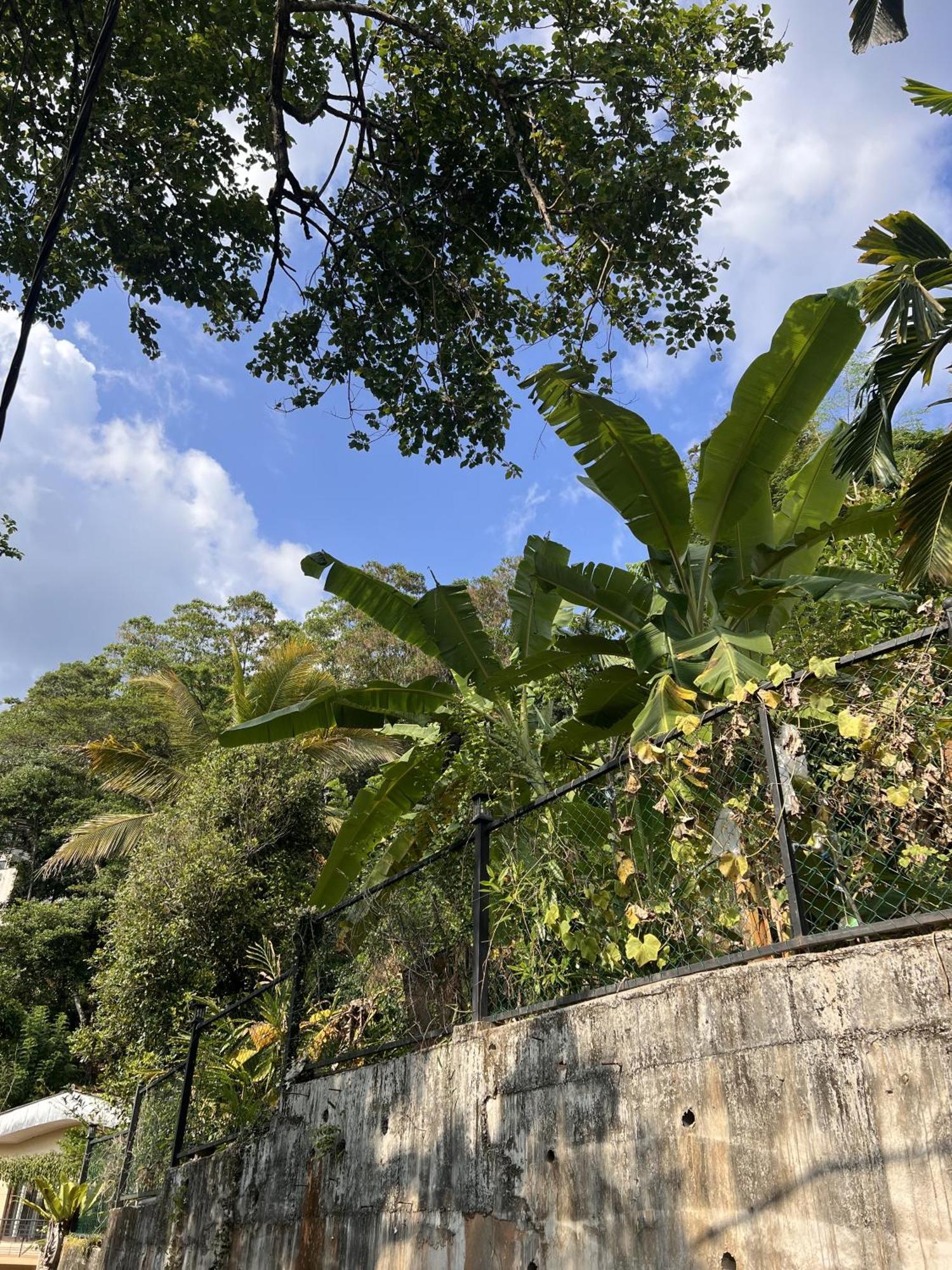 Canopy Villa Kandy Luaran gambar
